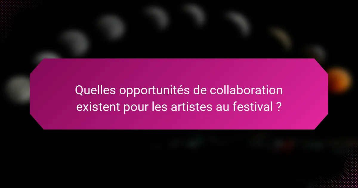 Quelles opportunités de collaboration existent pour les artistes au festival ?