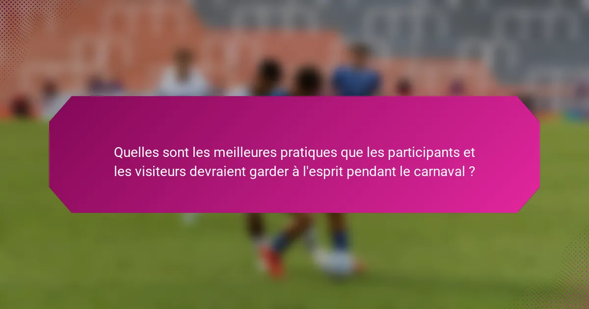 Quelles sont les meilleures pratiques que les participants et les visiteurs devraient garder à l'esprit pendant le carnaval ?