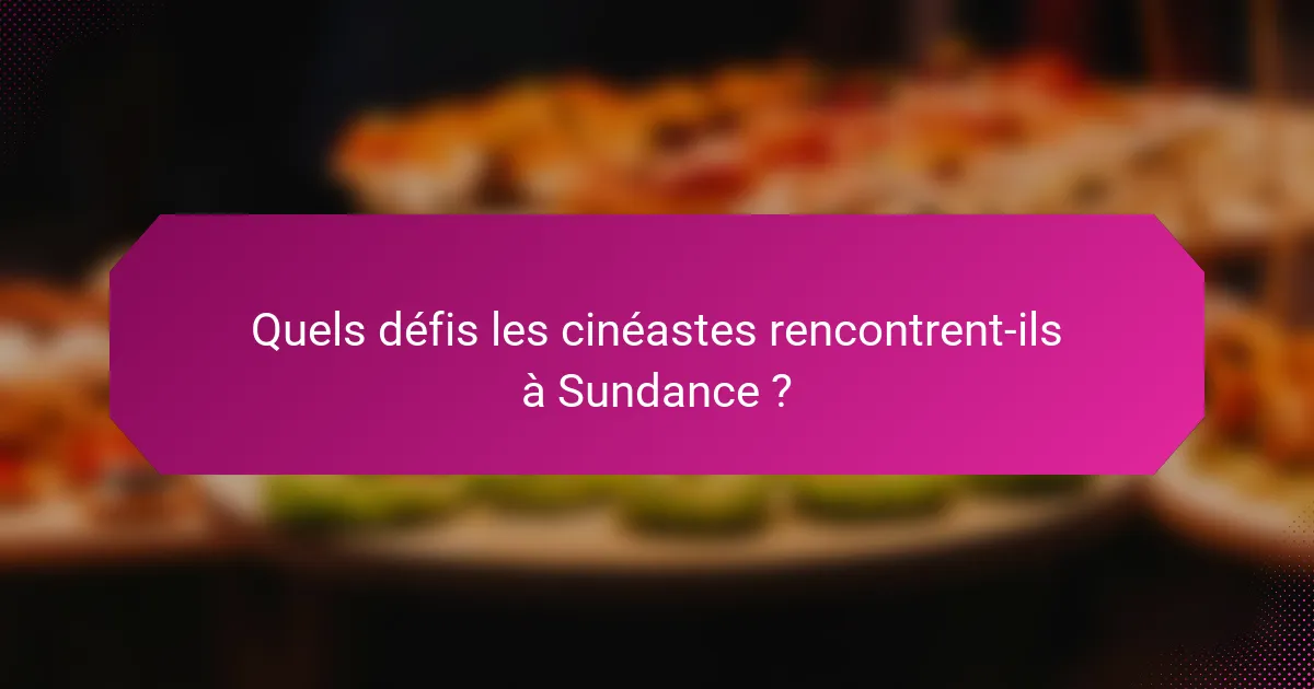 Quels défis les cinéastes rencontrent-ils à Sundance ?