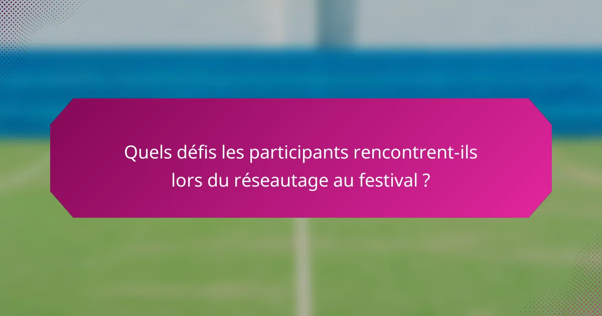 Quels défis les participants rencontrent-ils lors du réseautage au festival ?