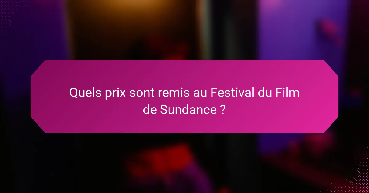 Quels prix sont remis au Festival du Film de Sundance ?